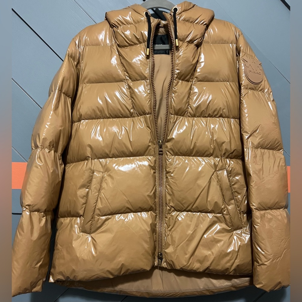 Pinko - Eleodoro Hooded Shiny Down Jacket